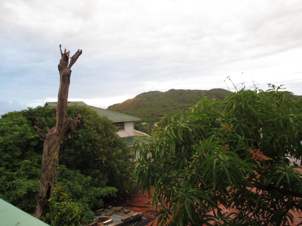 Hotel Flemming Tree Providencia Island Εξωτερικό φωτογραφία