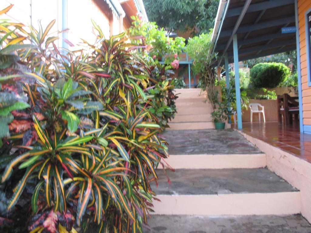 Hotel Flemming Tree Providencia Island Εξωτερικό φωτογραφία