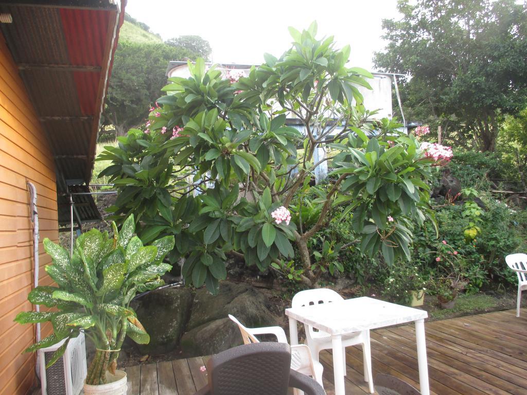 Hotel Flemming Tree Providencia Island Εξωτερικό φωτογραφία
