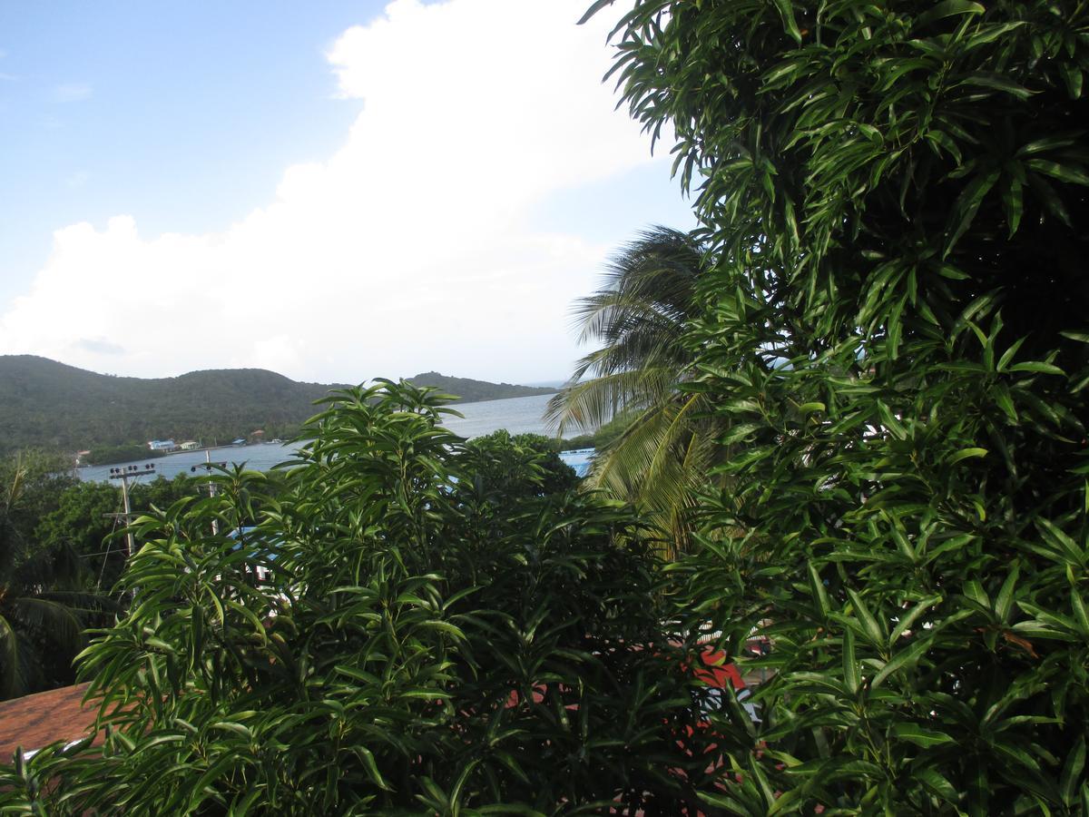 Hotel Flemming Tree Providencia Island Εξωτερικό φωτογραφία